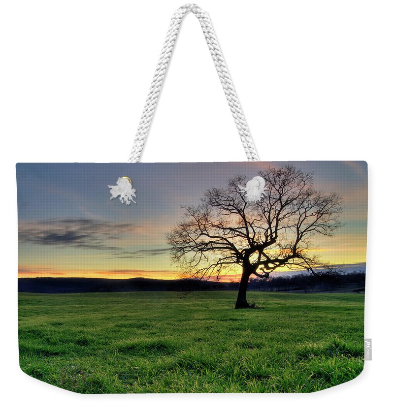 Scenics Weekender Tote Bag featuring the photograph Oak Tree In A Grassy Field At Sunset by Brett Maurer