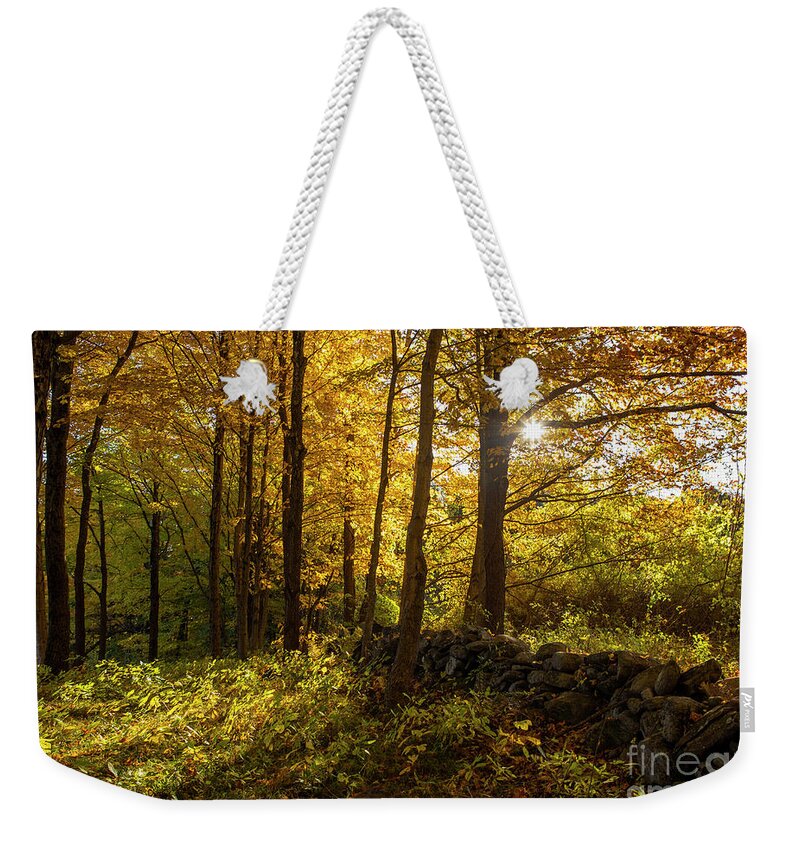 Autumn Weekender Tote Bag featuring the photograph October Morning by Diane Diederich