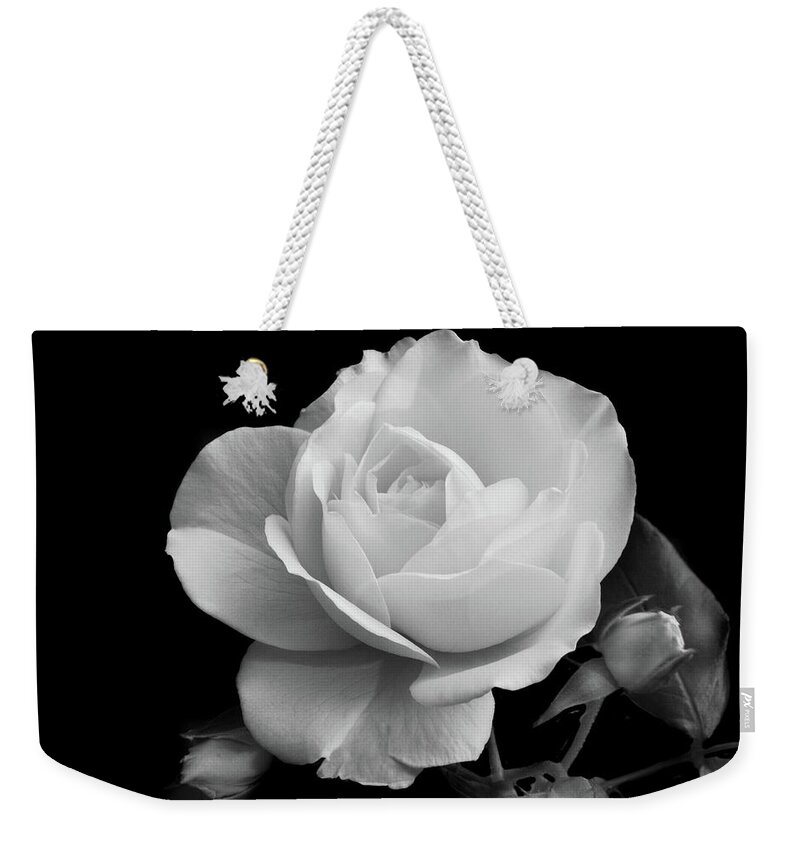 Rose Weekender Tote Bag featuring the photograph October Rose by Terence Davis