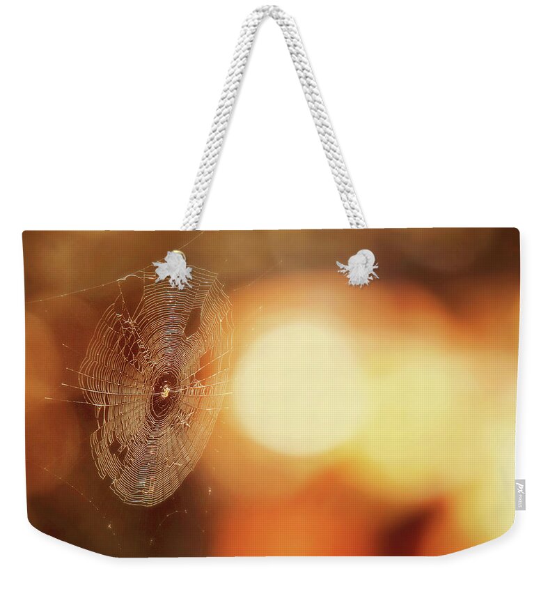 Cobwebs Weekender Tote Bag featuring the photograph October Spiderweb by Carrie Ann Grippo-Pike