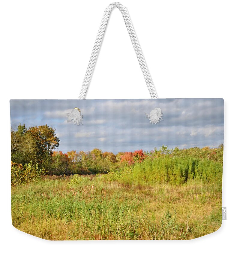 Canton Weekender Tote Bag featuring the photograph October Wetlands by Luke Moore