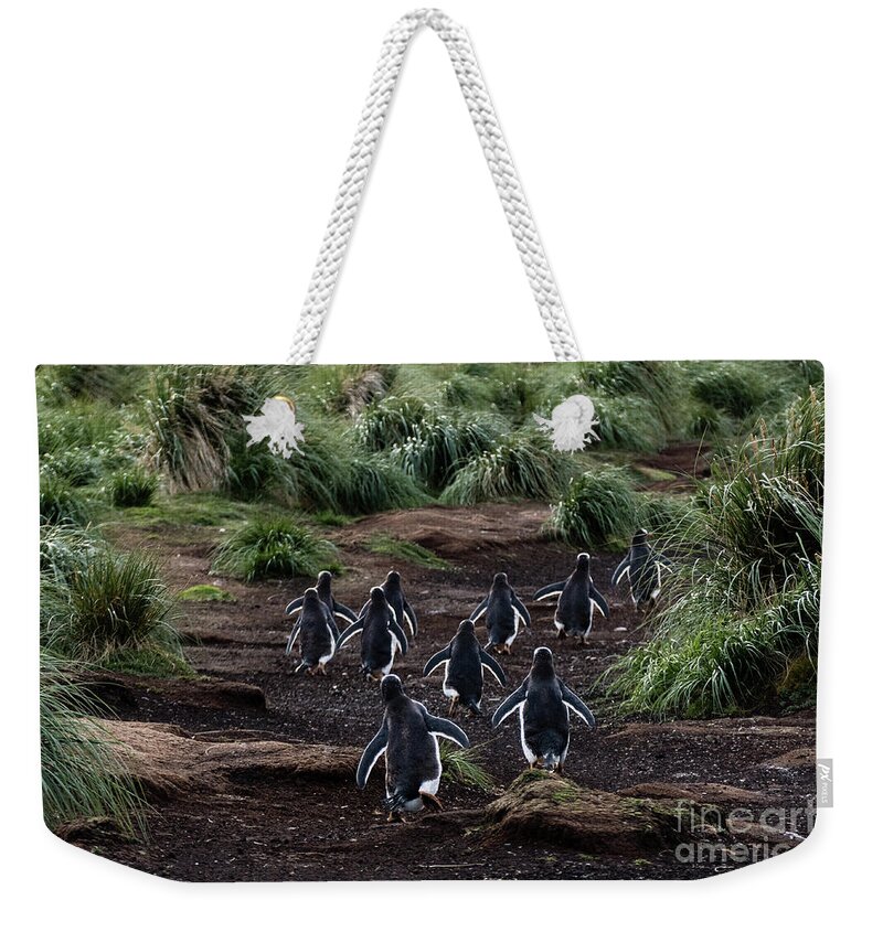 Rear View Weekender Tote Bag featuring the photograph Off We Go by Paulette Sinclair