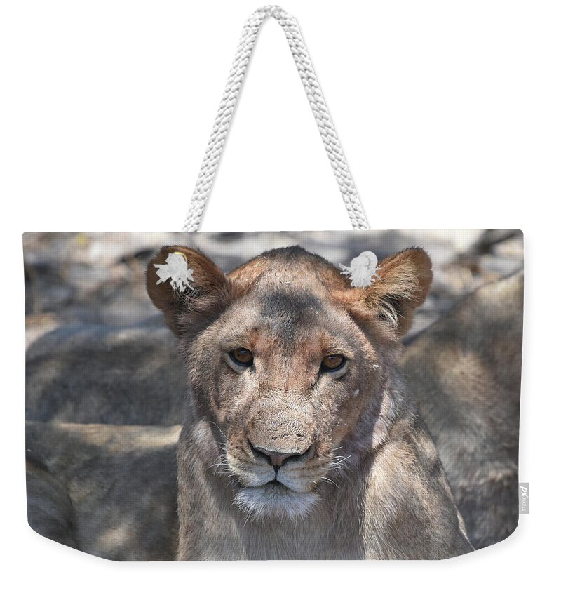 Lion Weekender Tote Bag featuring the photograph Okavango Lioness by Ben Foster