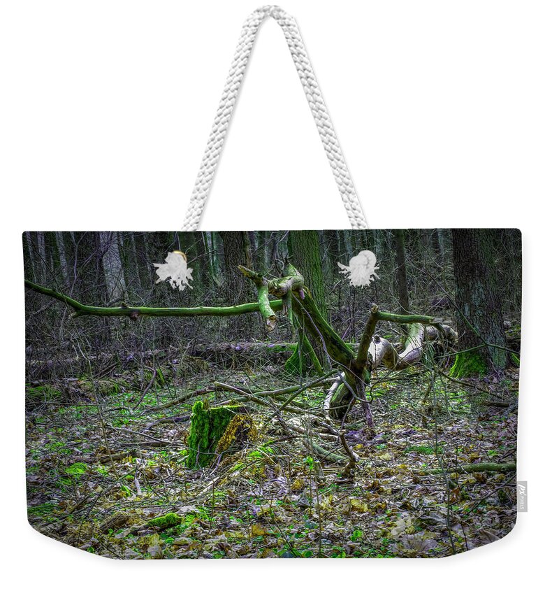 Old Forest Find Weekender Tote Bag featuring the photograph Old Forest Find #i6 by Leif Sohlman