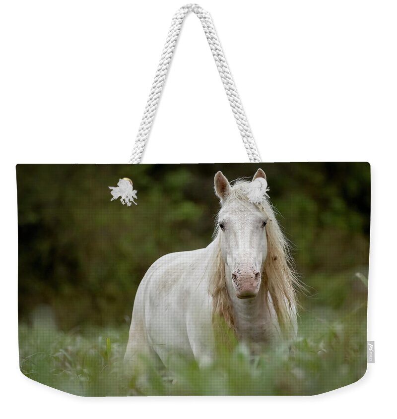 Wild Horse Weekender Tote Bag featuring the photograph Ombre by Holly Ross