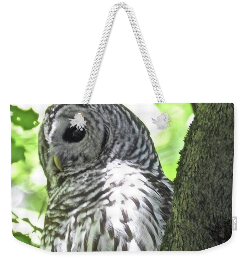 Owl Weekender Tote Bag featuring the photograph Omnipresent Owl by Kathy Chism