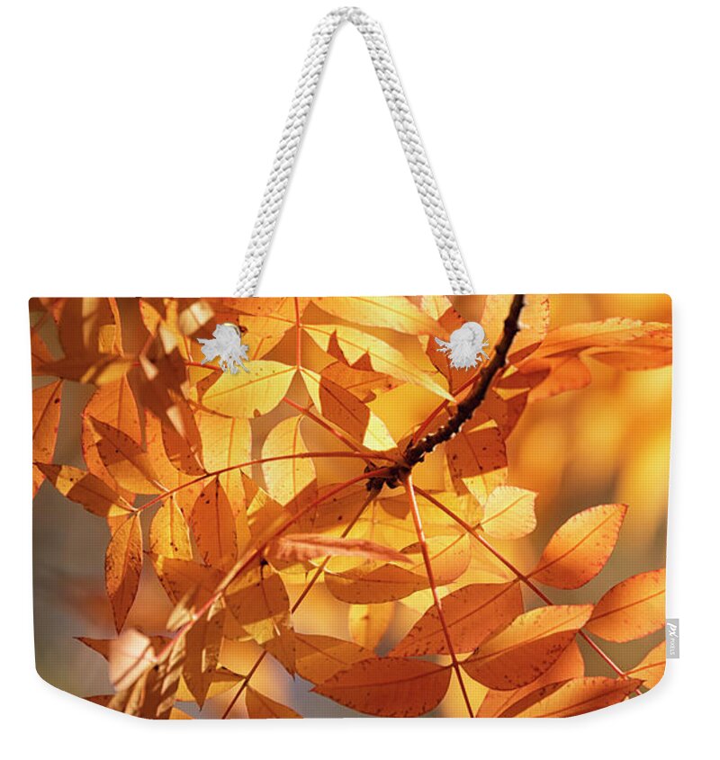 Autumn Weekender Tote Bag featuring the photograph On A Golden Autumn Morning by Saija Lehtonen