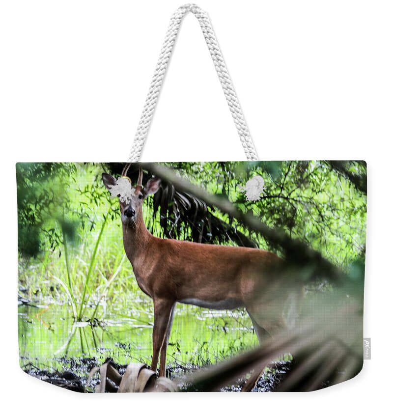 Deer Weekender Tote Bag featuring the photograph On Alert by Rick Redman