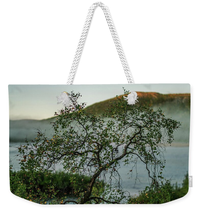 Landscape Weekender Tote Bag featuring the photograph On the misty river bank by Pekka Sammallahti