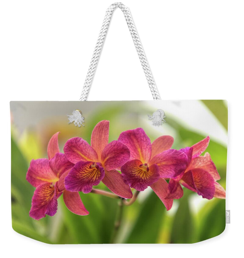 Debra Martz Weekender Tote Bag featuring the photograph On The Purple Side of Pink by Debra Martz