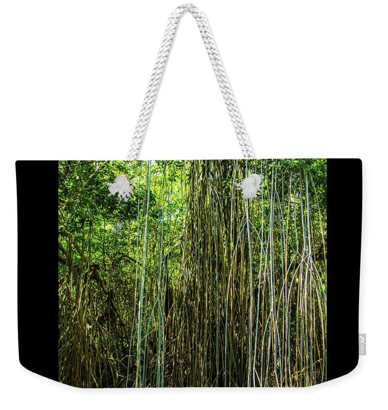 Jamaica Weekender Tote Bag featuring the photograph On the river in Jamaica by Jana Rosenkranz