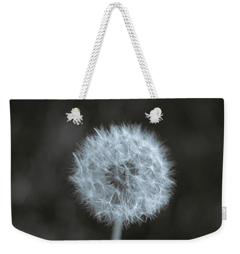 Winterpacht Weekender Tote Bag featuring the photograph One in a Field by Miguel Winterpacht
