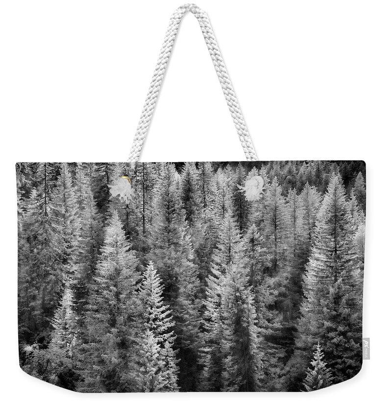 Black And White Weekender Tote Bag featuring the photograph One Of Many Alp Trees by Jon Glaser