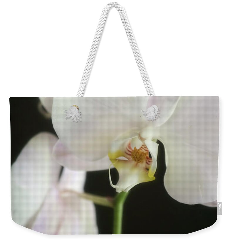 Orchids Weekender Tote Bag featuring the photograph One On The Way by Joan Bertucci