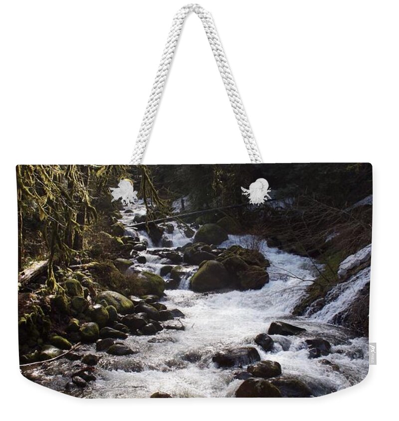 Oneonta Creek Weekender Tote Bag featuring the photograph Oneonta Creek by Dylan Punke