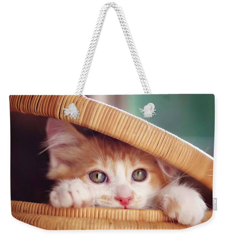 Pets Weekender Tote Bag featuring the photograph Orange And White Kitten In Basket by Sarahwolfephotography