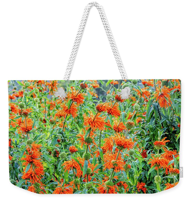 Cape Floral Kingdom Weekender Tote Bag featuring the photograph Orange Infusion by Marcy Wielfaert