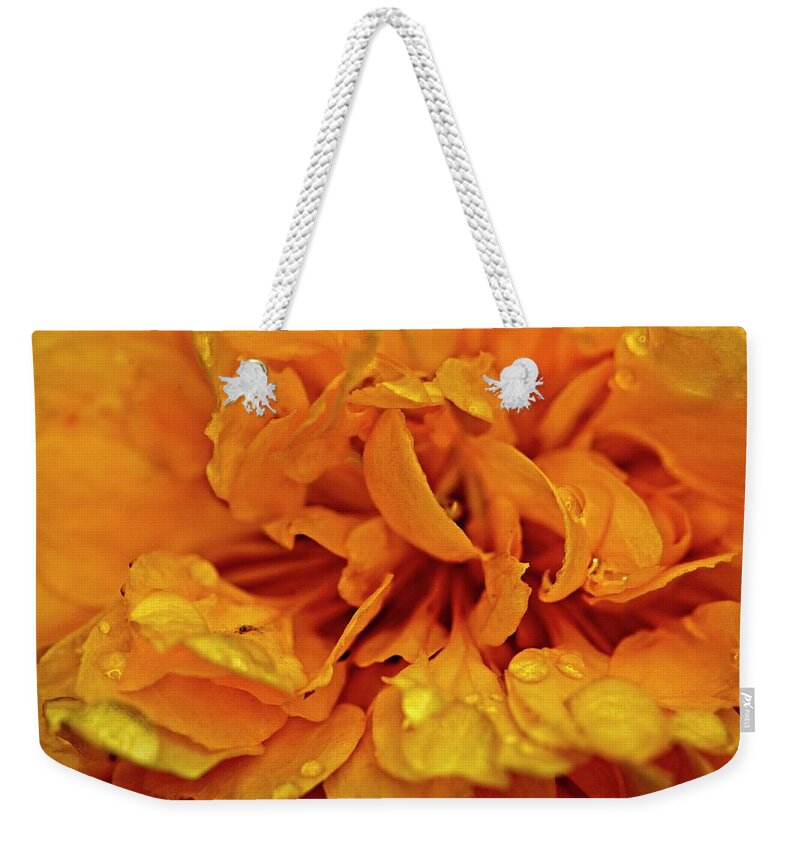 Nature Weekender Tote Bag featuring the photograph Orange Kist by John Benedict