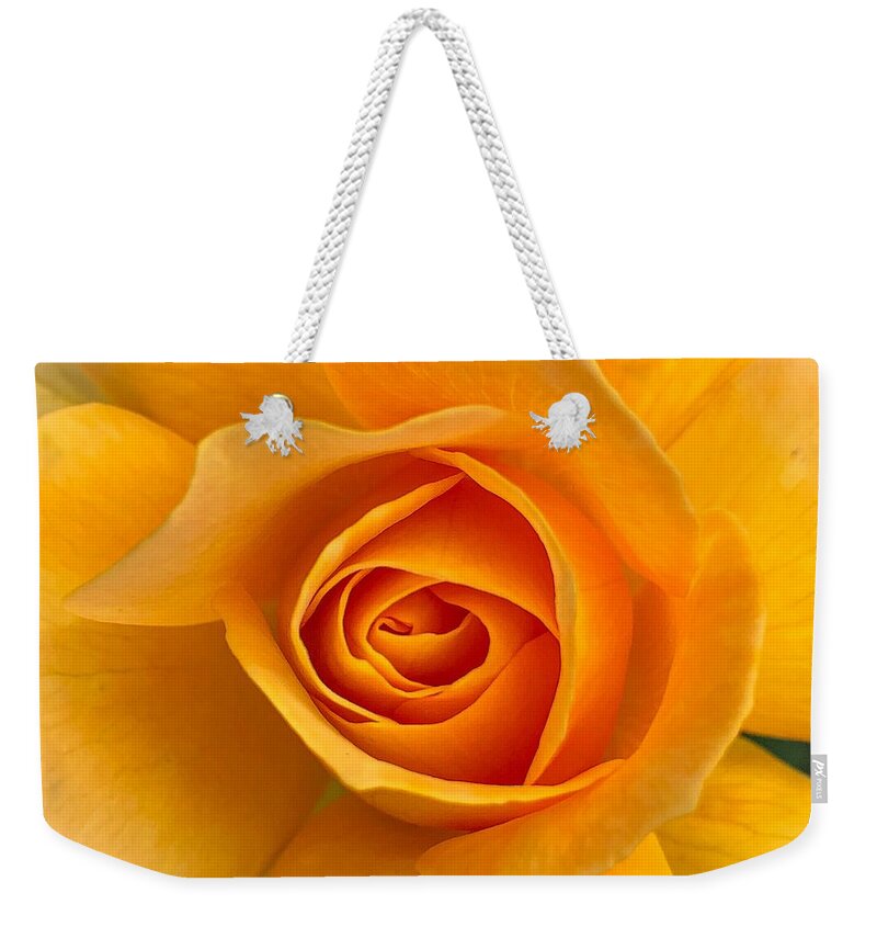 Flower Weekender Tote Bag featuring the photograph Orange Rose by Anamar Pictures