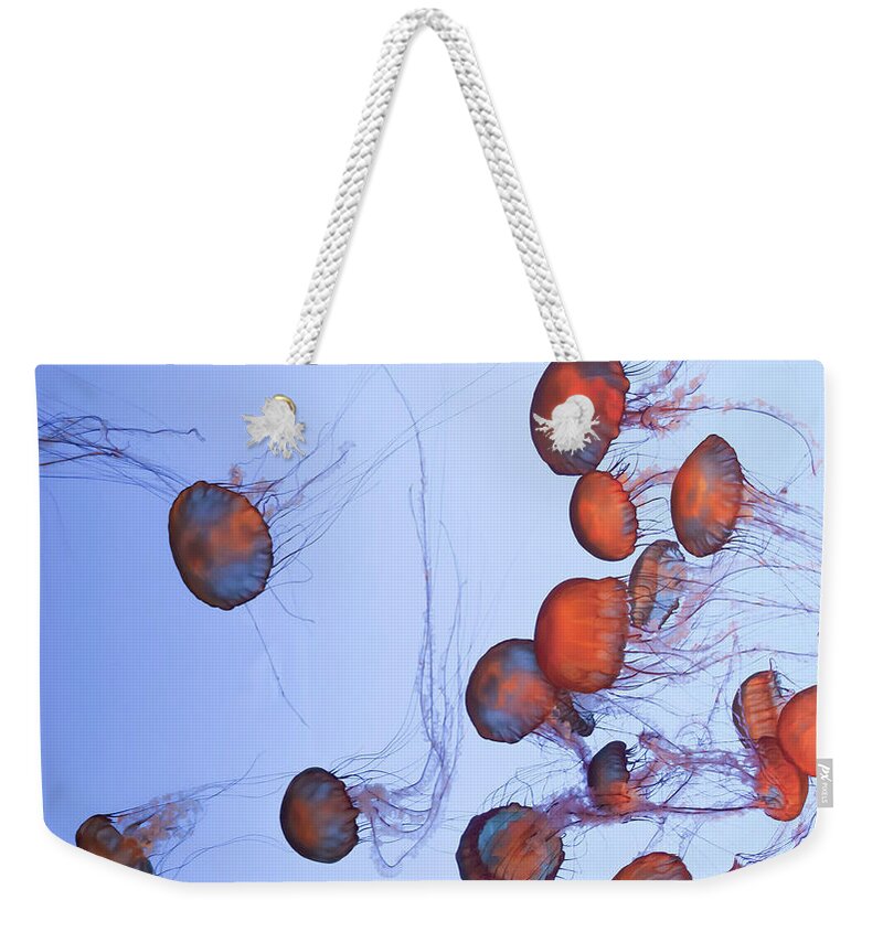 Underwater Weekender Tote Bag featuring the photograph Orangey Orgy by S Ty Photography
