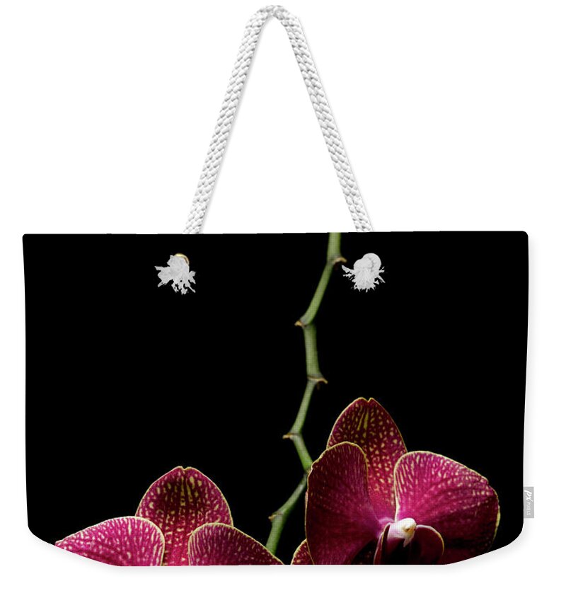 Natural Pattern Weekender Tote Bag featuring the photograph Orchid by Chris Stein
