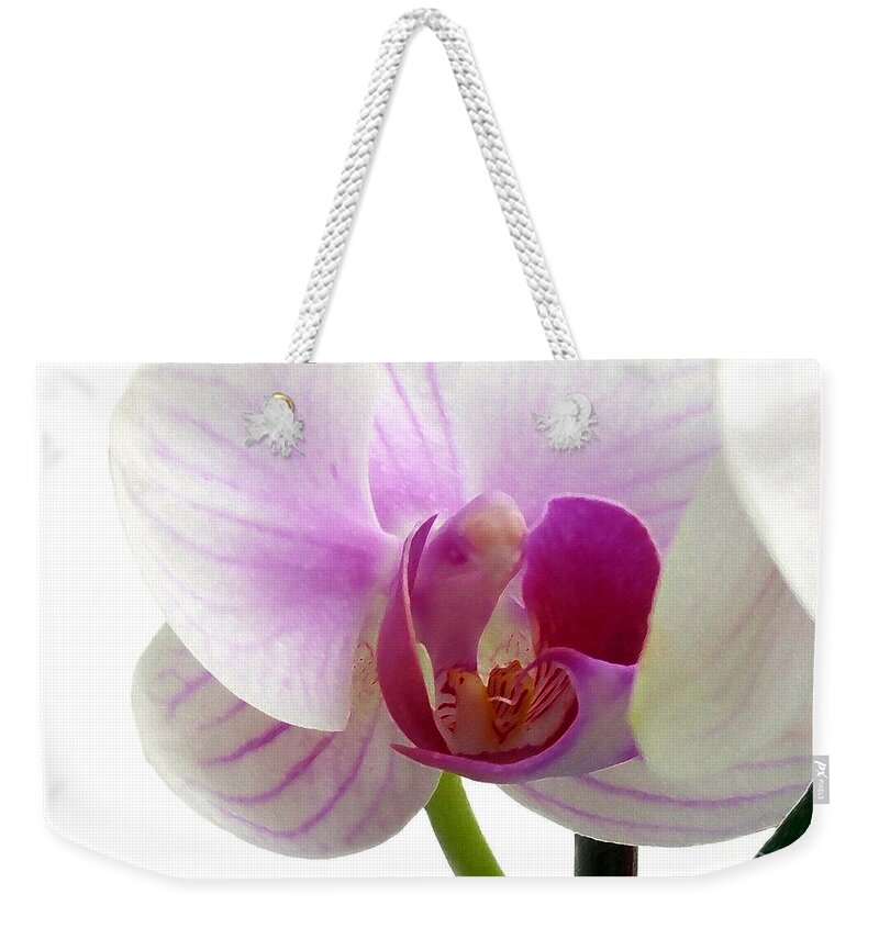 Orchid Weekender Tote Bag featuring the photograph Orchid Elegance and Beauty by Amy Dundon