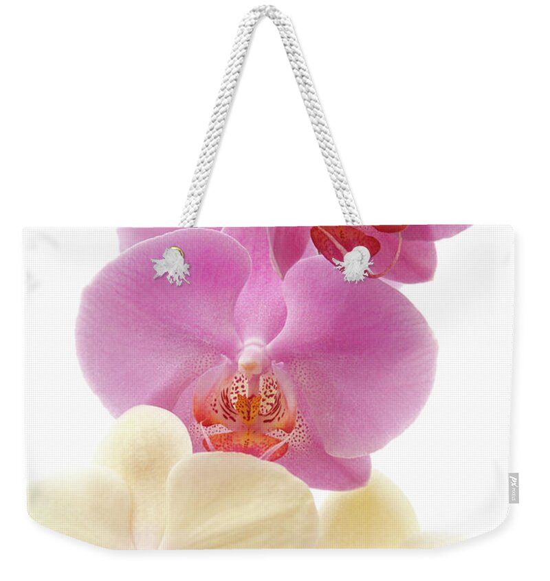 White Background Weekender Tote Bag featuring the photograph Orchid Phalaenopsis Against White by Creativ Studio Heinemann