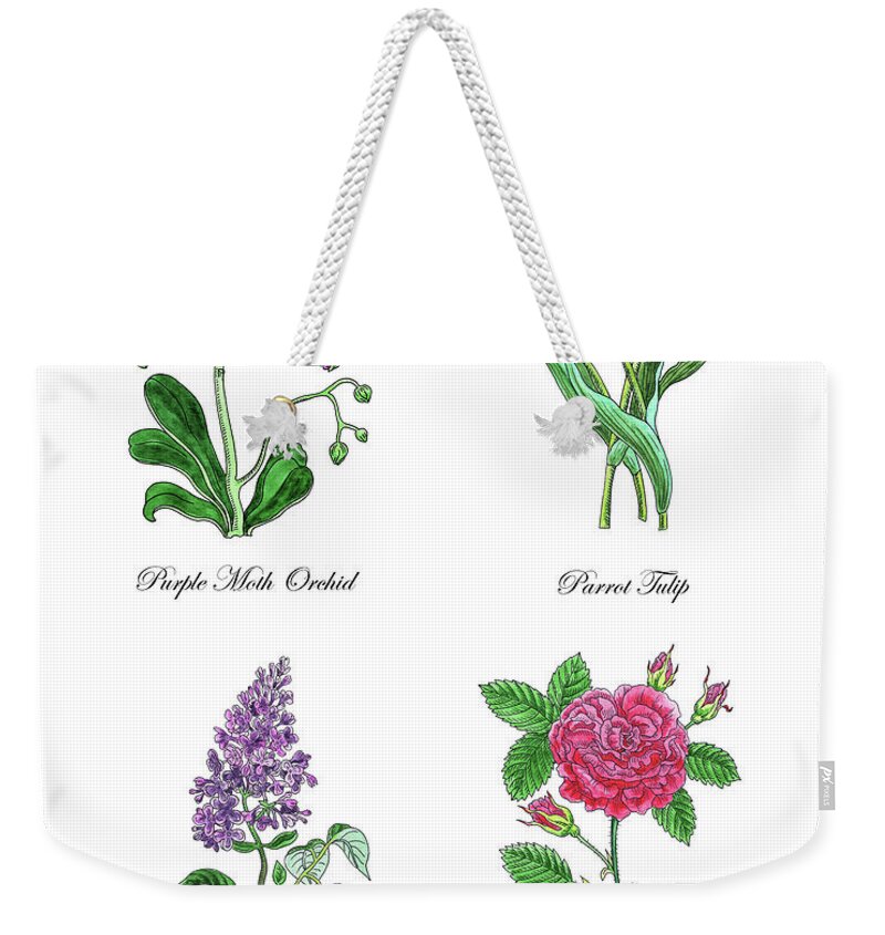 Orchid Weekender Tote Bag featuring the painting Orchid Tulip Lilac Rose Botanical Watercolor  by Irina Sztukowski
