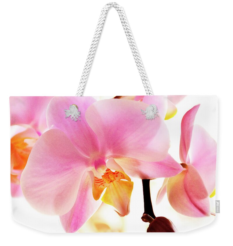 Phalaenopsis Weekender Tote Bag featuring the photograph Orchids in Watercolor by Angie Tirado