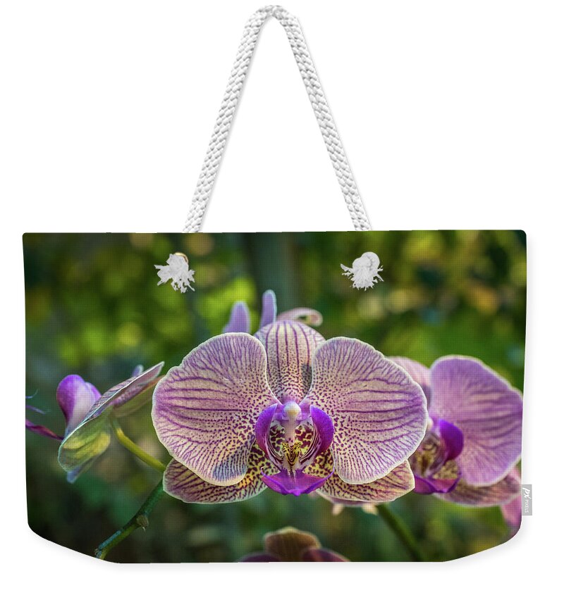 Flower Weekender Tote Bag featuring the photograph Orchids Up Close by Bill Pevlor
