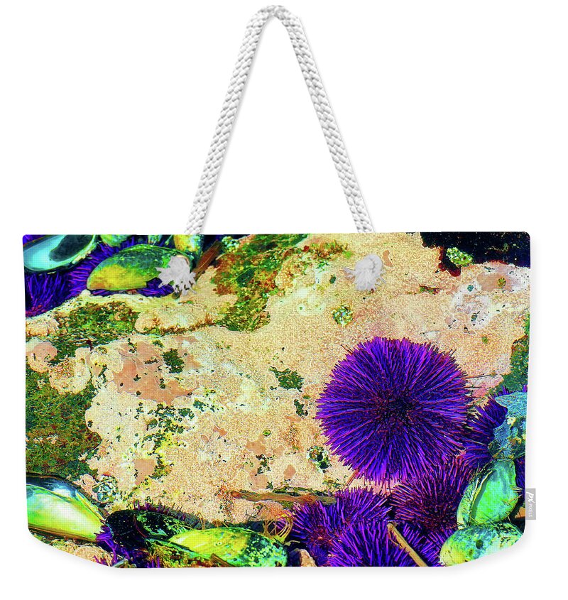 Tidepool Weekender Tote Bag featuring the photograph Oregon Coast Tide Pools by Dee Browning