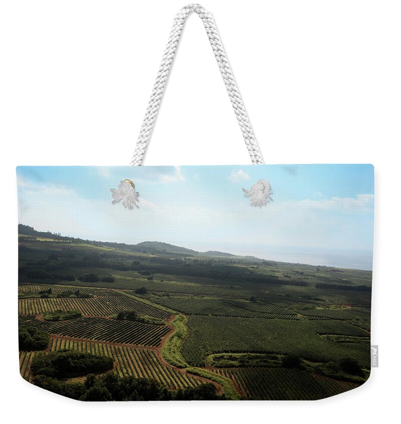 Scenics Weekender Tote Bag featuring the photograph Organic Plantation Ariel View by Akurtz