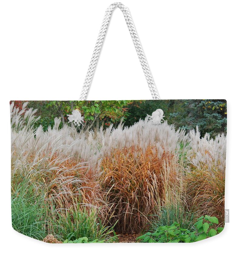 Ornamental Grasses Weekender Tote Bag featuring the photograph Ornamental Grass #1 by Ee Photography