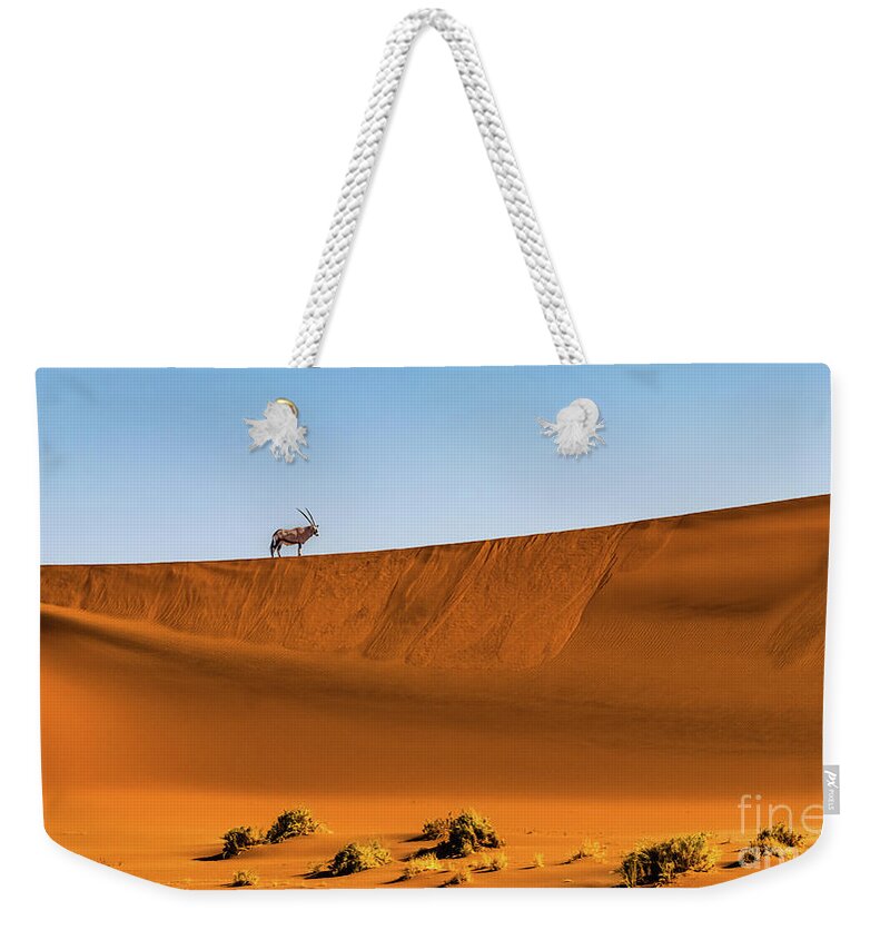 Gemsbok Weekender Tote Bag featuring the photograph Oryx on the dune, Namibia by Lyl Dil Creations