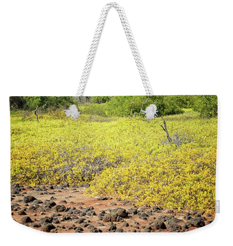 Mountain Weekender Tote Bag featuring the photograph Other World by Becqi Sherman