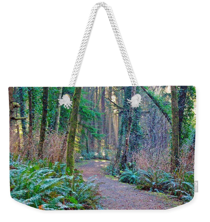 Mexico Weekender Tote Bag featuring the photograph Otter Crest 2 by George Hite