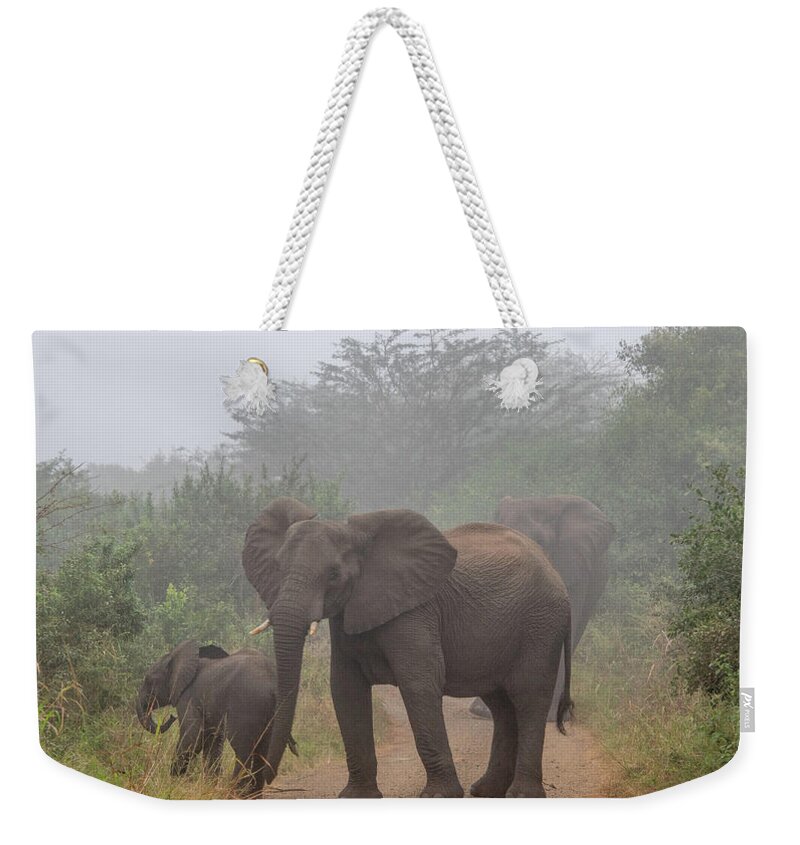 Hluhluwe-imfolozi Park Weekender Tote Bag featuring the photograph Out of the Fog in Hluhluwe by Marcy Wielfaert