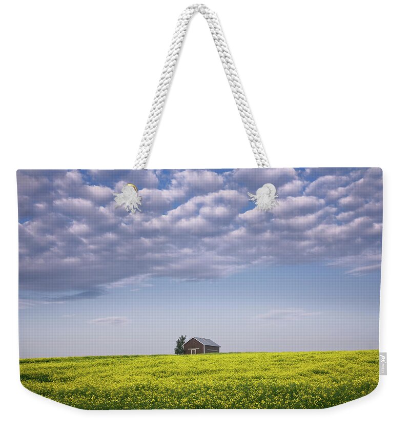 Canola Weekender Tote Bag featuring the photograph Outstanding In Its Field by Dan Jurak