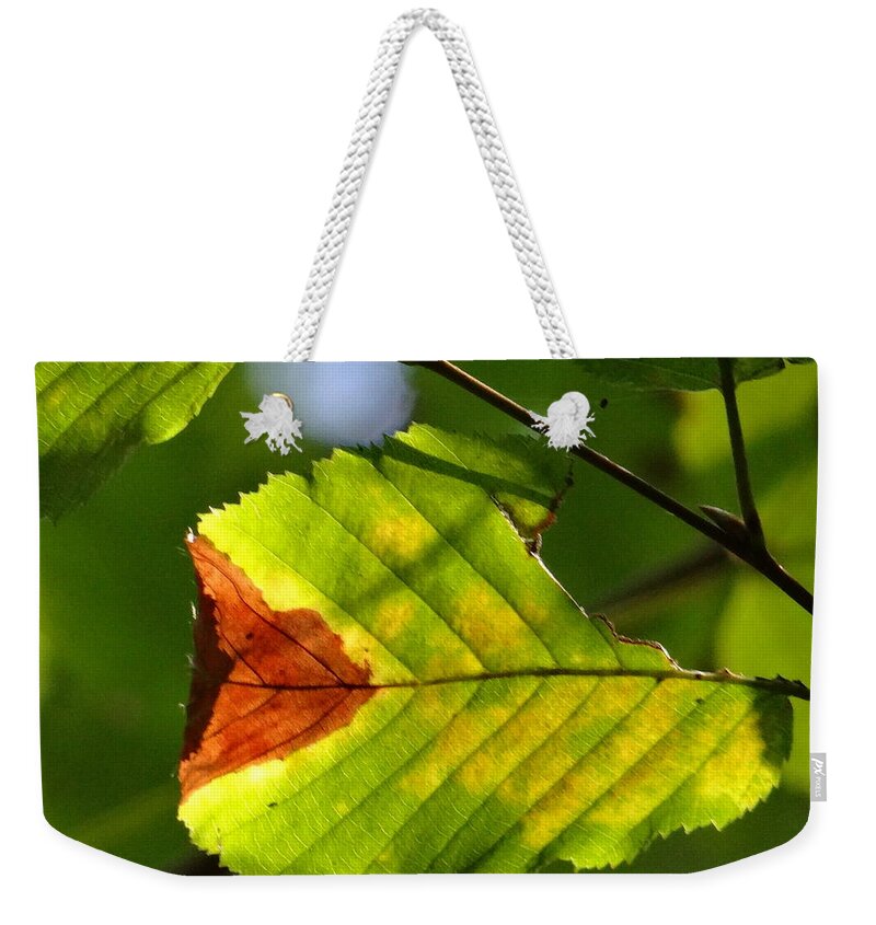 Leaf Weekender Tote Bag featuring the photograph Outstanding leaf by Karin Ravasio