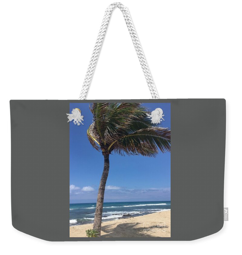 Palms Weekender Tote Bag featuring the photograph Outstanding Palm by Karen Nicholson