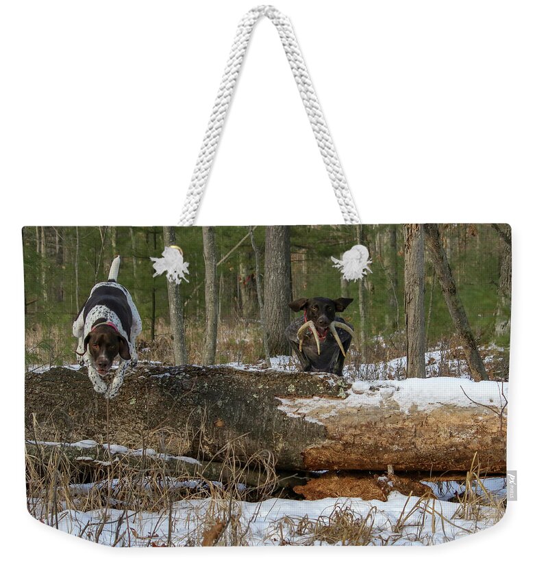 Gsp Weekender Tote Bag featuring the photograph Over the Log by Brook Burling