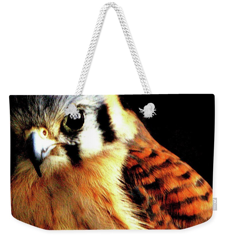 Animal Themes Weekender Tote Bag featuring the photograph Owl Eye by Renata Pancich
