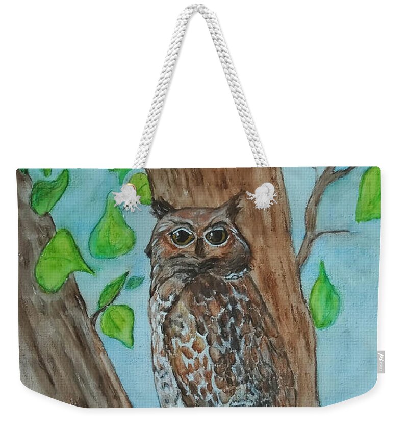 Nature Weekender Tote Bag featuring the painting Owl in Our Tree by Vallee Johnson