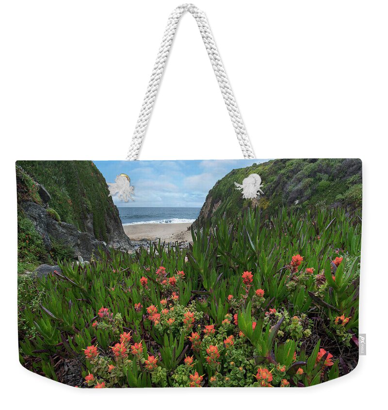 00571627 Weekender Tote Bag featuring the photograph Paintbrush And Ice Plant, Garrapata State Beach, Big Sur, California by Tim Fitzharris