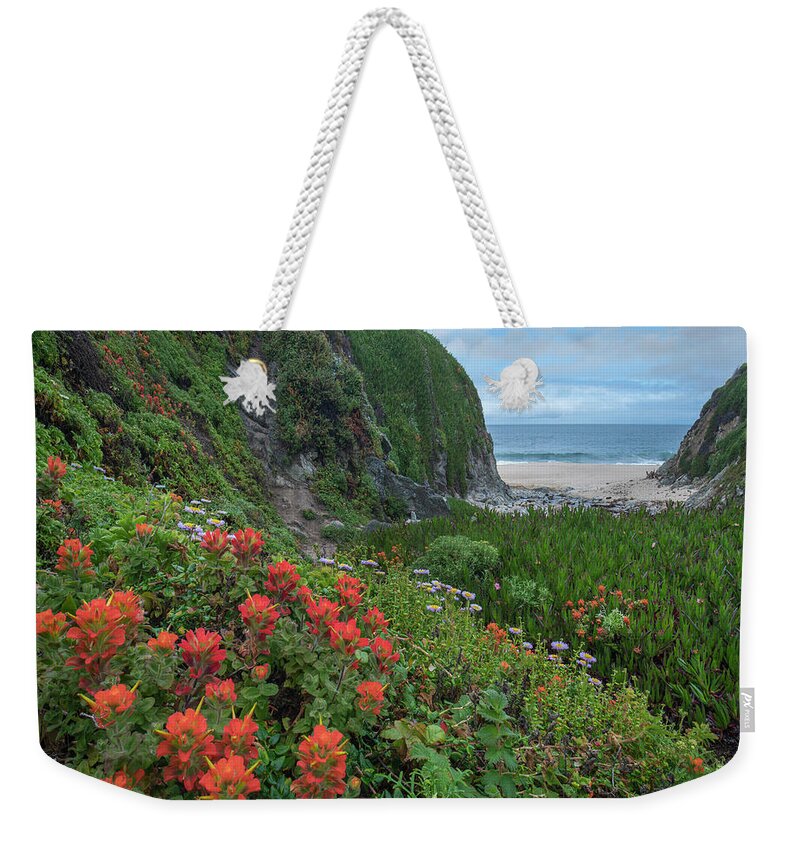 00571625 Weekender Tote Bag featuring the photograph Paintbrush And Seaside Fleabane, Garrapata State Beach, Big Sur, California by Tim Fitzharris