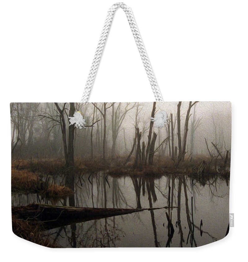 Scenic Weekender Tote Bag featuring the photograph Painted Gloom At Dawn by Skip Willits