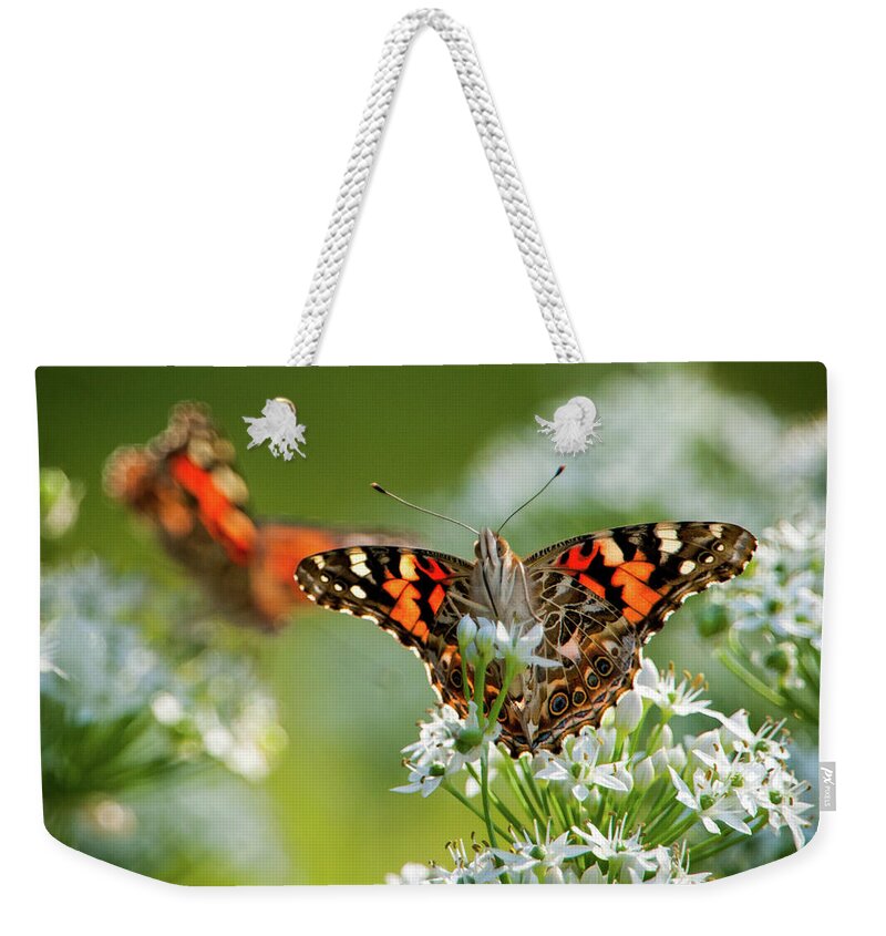 Painted Lady Weekender Tote Bag featuring the photograph Painted Ladies by Jeff Phillippi