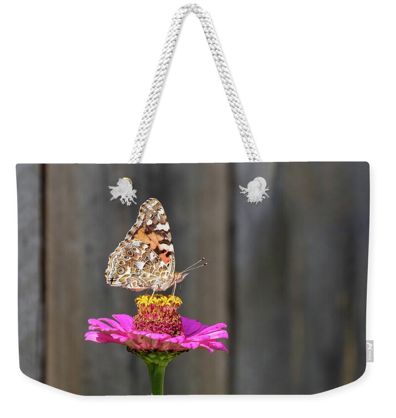 Painted Lady Weekender Tote Bag featuring the photograph Painted Lady 2018-2 by Thomas Young