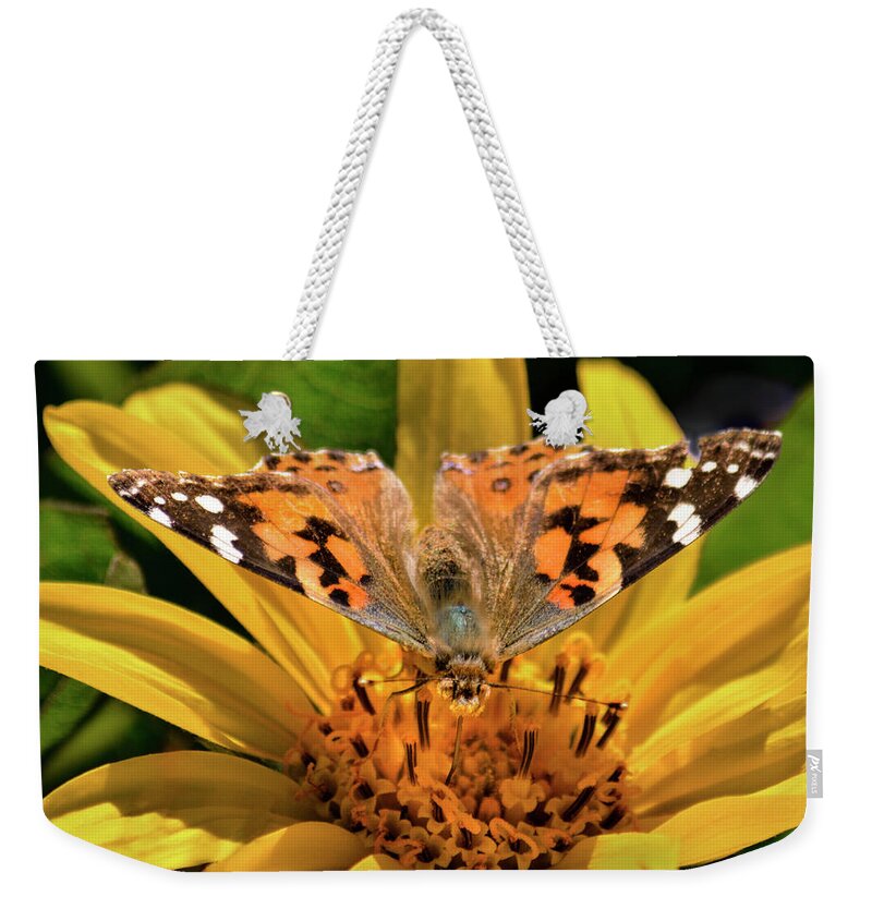 Butterfly Weekender Tote Bag featuring the photograph Painted Lady Butterfly and Mules Ears Wildflower by Brian Tada