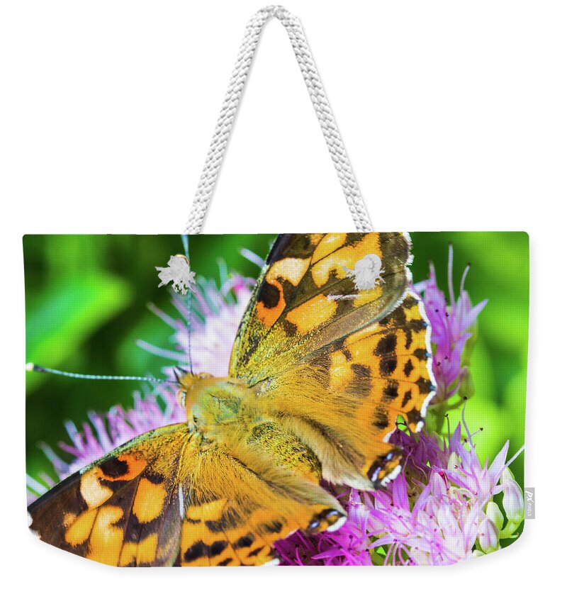 Painted Lady Butterfly Weekender Tote Bag featuring the photograph Painted Lady Butterfly by Pheasant Run Gallery